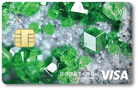 �~���[�W�A���G�|�X�J�[�h �����Ȋw������ �D�N�����������