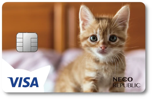 ネコリパカード ナッジカード