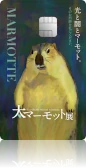 ナッジカード 学生部/デザイン部［クリエイターズコラボ2025］マーモット中毒