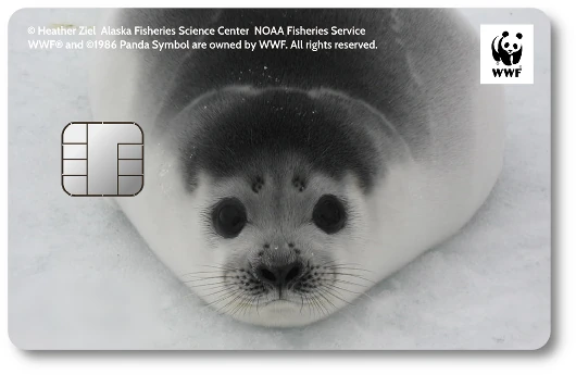 WWF�W���p���J�[�h �N���J�P�A�U���V