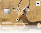 WWFジャパンカード インパラ