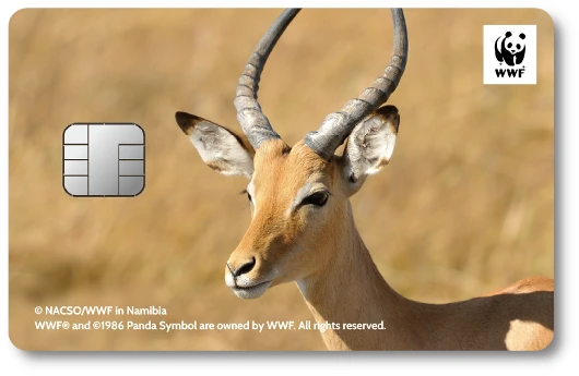 WWF�W���p���J�[�h �C���p��