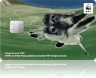 WWFジャパンカード アオウミガメ