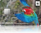 WWFジャパンカード ベニコンゴウインコ