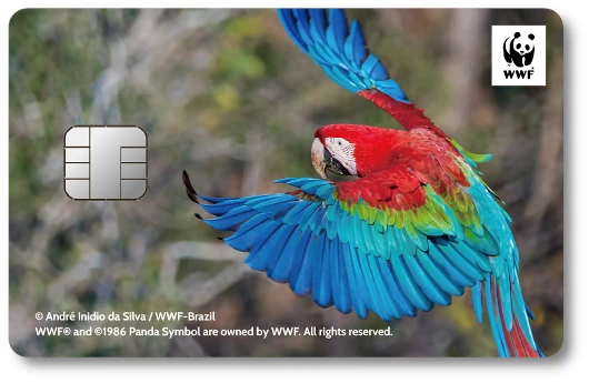 WWF�W���p���J�[�h �x�j�R���S�E�C���R