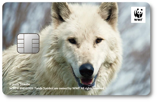 WWF�W���p���J�[�h �n�C�C���I�I�J�~