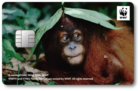 WWF�W���p���J�[�h �X�}�g���I���E�[�^��