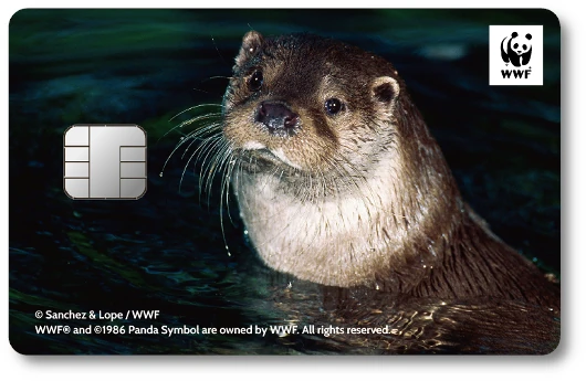 WWF�W���p���J�[�h ���[���V�A�J���E�\