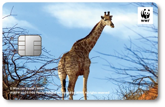 WWF�W���p���J�[�h �L����