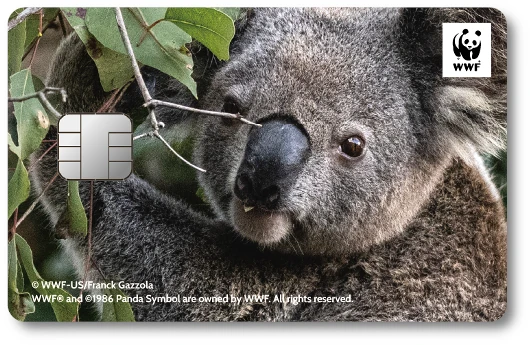 WWF�W���p���J�[�h �R�A��