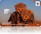 WWFジャパンカード チーター