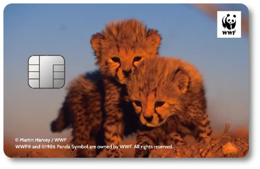 WWF�W���p���J�[�h �`�[�^�[