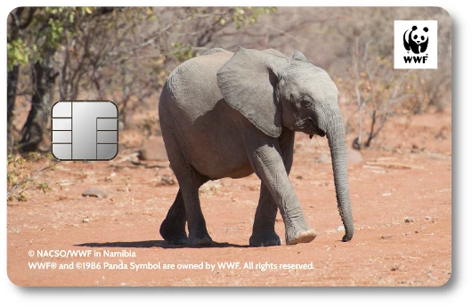 WWF�W���p���J�[�h �]�E
