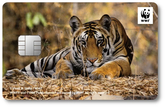 WWF�W���p���J�[�h �x���K���g��
