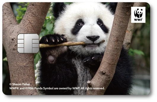 WWF�W���p���J�[�h �W���C�A���g�p���_
