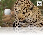 WWFジャパンカード ヒョウ