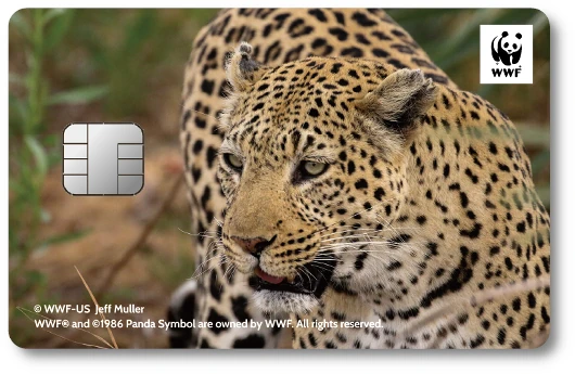 WWF�W���p���J�[�h �q���E