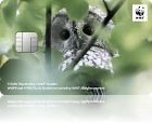 WWFジャパンカード モリフクロウ