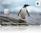 WWFジャパンカード ジェンツーペンギン