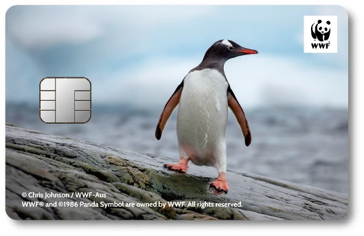 WWF�W���p���J�[�h �W�F���c�[�y���M��
