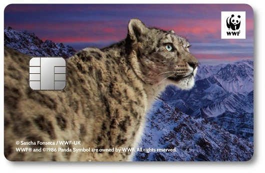WWF�W���p���J�[�h ���L�q���E