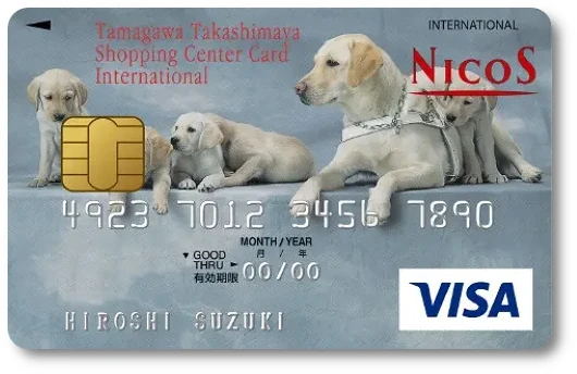 ʐ썂SECJ[hC^[iVimӓ琬T|[gJ[hnA^Cviӓj