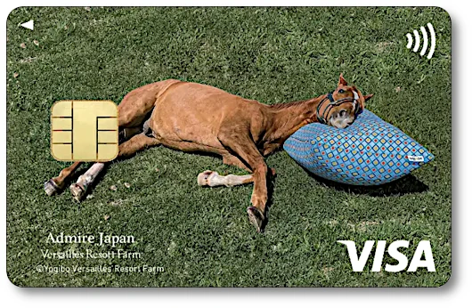 FTC][gt@[ G|XJ[h[Ah}CWp]