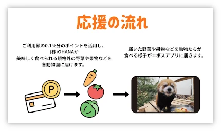 どうぶつエポスカード 動物園応援の流れ