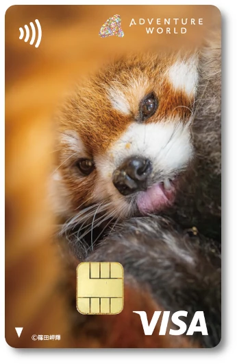 どうぶつエポスカード アドベンチャーワールド レッサーパンダ