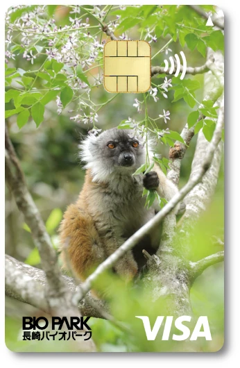 �ǂ��ԂG�|�X�J�[�h ����o�C�I�p�[�N �N���L�c�l�U��