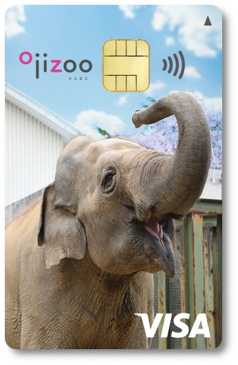 どうぶつエポスカード 神戸市立王子動物園 アジアゾウ