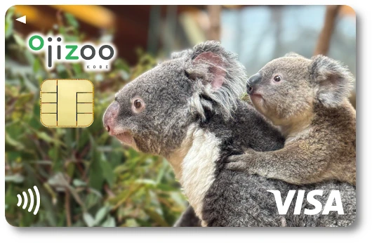 どうぶつエポスカード 神戸市立王子動物園 コアラ