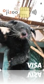 どうぶつエポスカード 神戸市立王子動物園 ビントロング